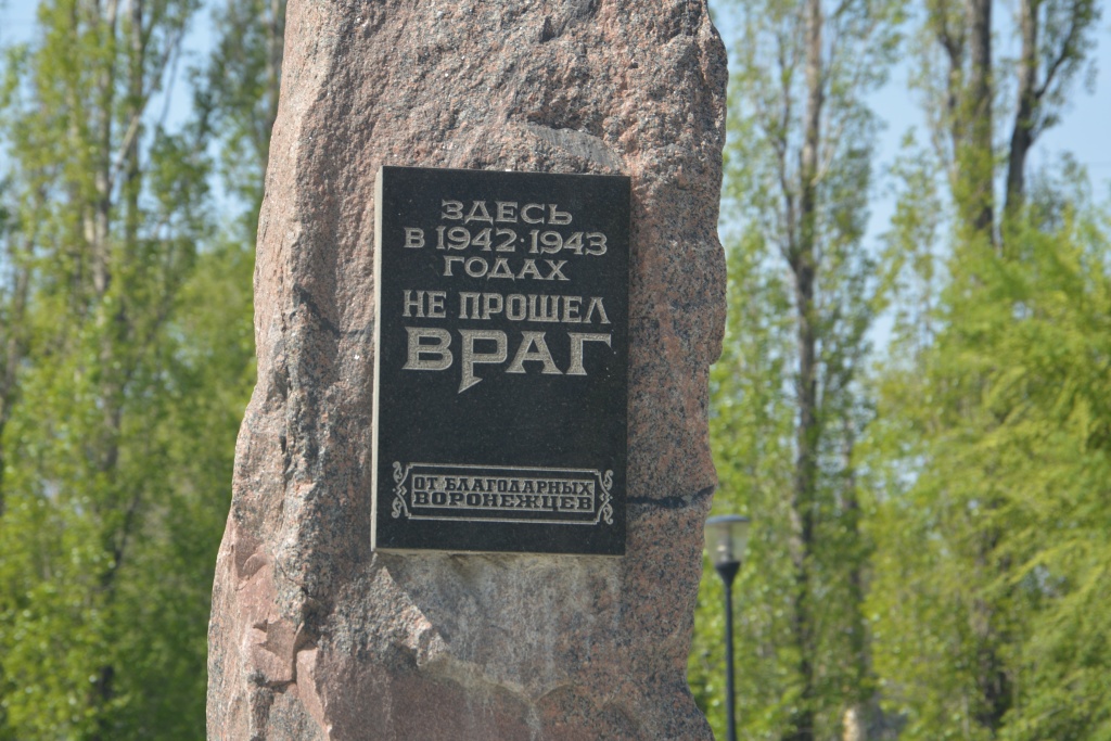 В Воронеже депутаты гордумы посадили в одном из скверов кусты сирени, ели и рябины