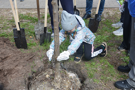 Депутаты Воронежской гордумы приняли участие в городском субботнике