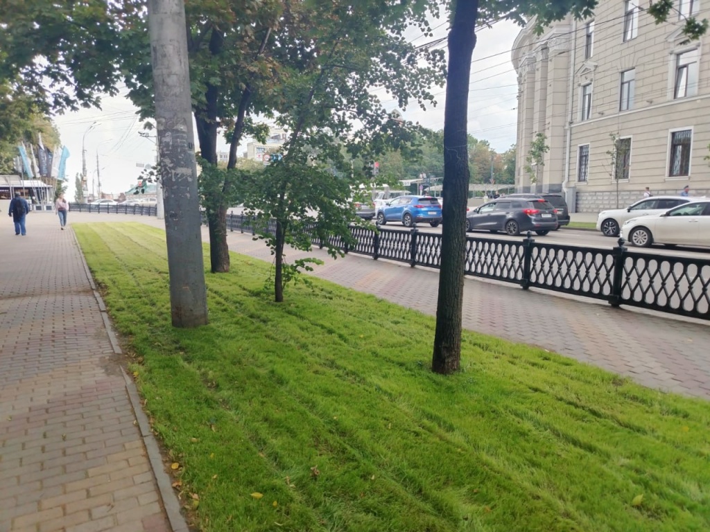 В Воронеже продолжается работа по восстановлению и обустройству газонов