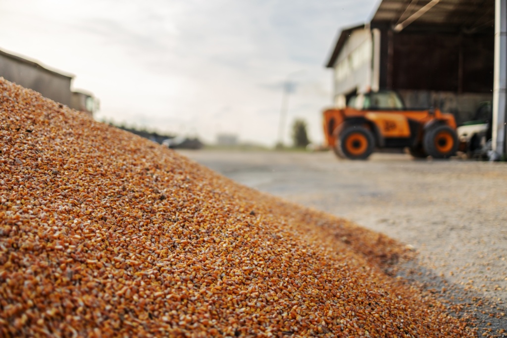 Китайцы обновят зерновой терминал Махачкалы за 1 миллиард рублей